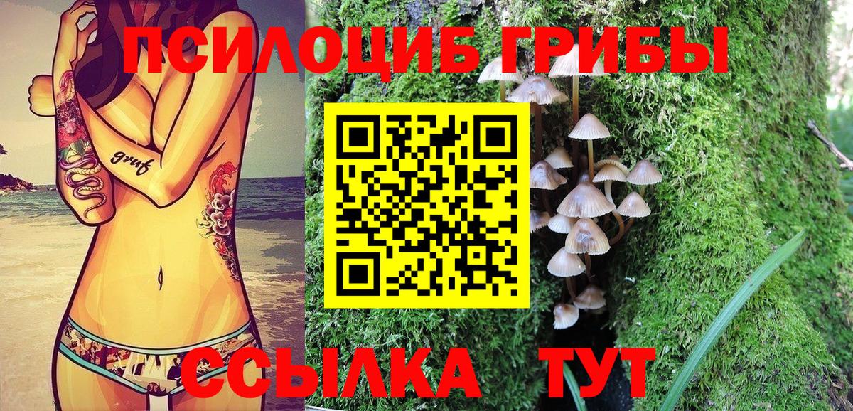 Псилоцибиновые грибы GOLDEN TEACHER  Вход с VPN  Малгобек  Псилоцибиновые грибы Psilocybine cubensis 